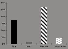 Diagramme des proportions des ossements