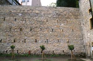 Mur de terrasse et jardin du 10-12 rue Gadagne  SA Ville de Lyon 