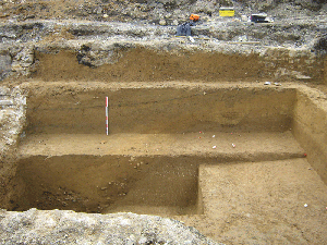 Vue en coupe du palochenal  SAVL